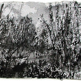 Plein Air Sketches of the Union Bay Natural Area, 2012–2013 Plein Air Sketches of the Union Bay Natural Area, 2012–2013