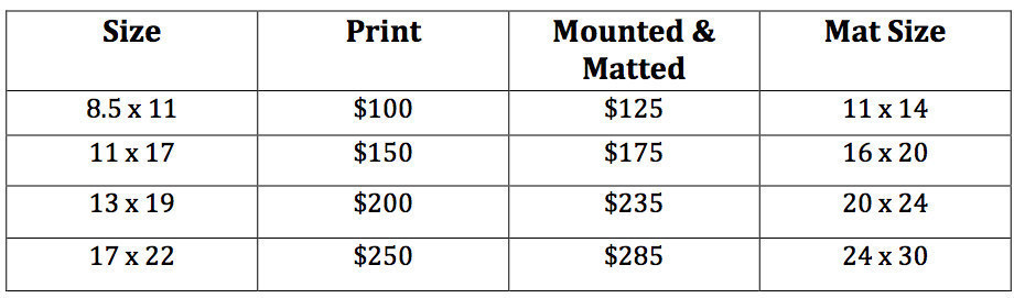 Pricing Chart Pricing Chart